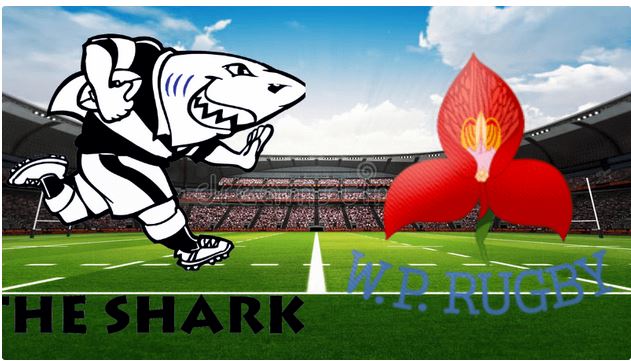 Sharks vs Western Province 22 August 2025 Rugby Full Match Replay Currie Cup